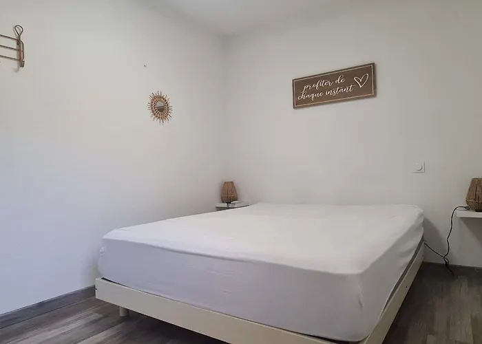 Apartament T2 Climatise A Avec Parking - Fr-1-309-420 *
